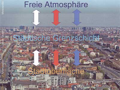 Austauschprozesse an der staedtischen Grenzschicht